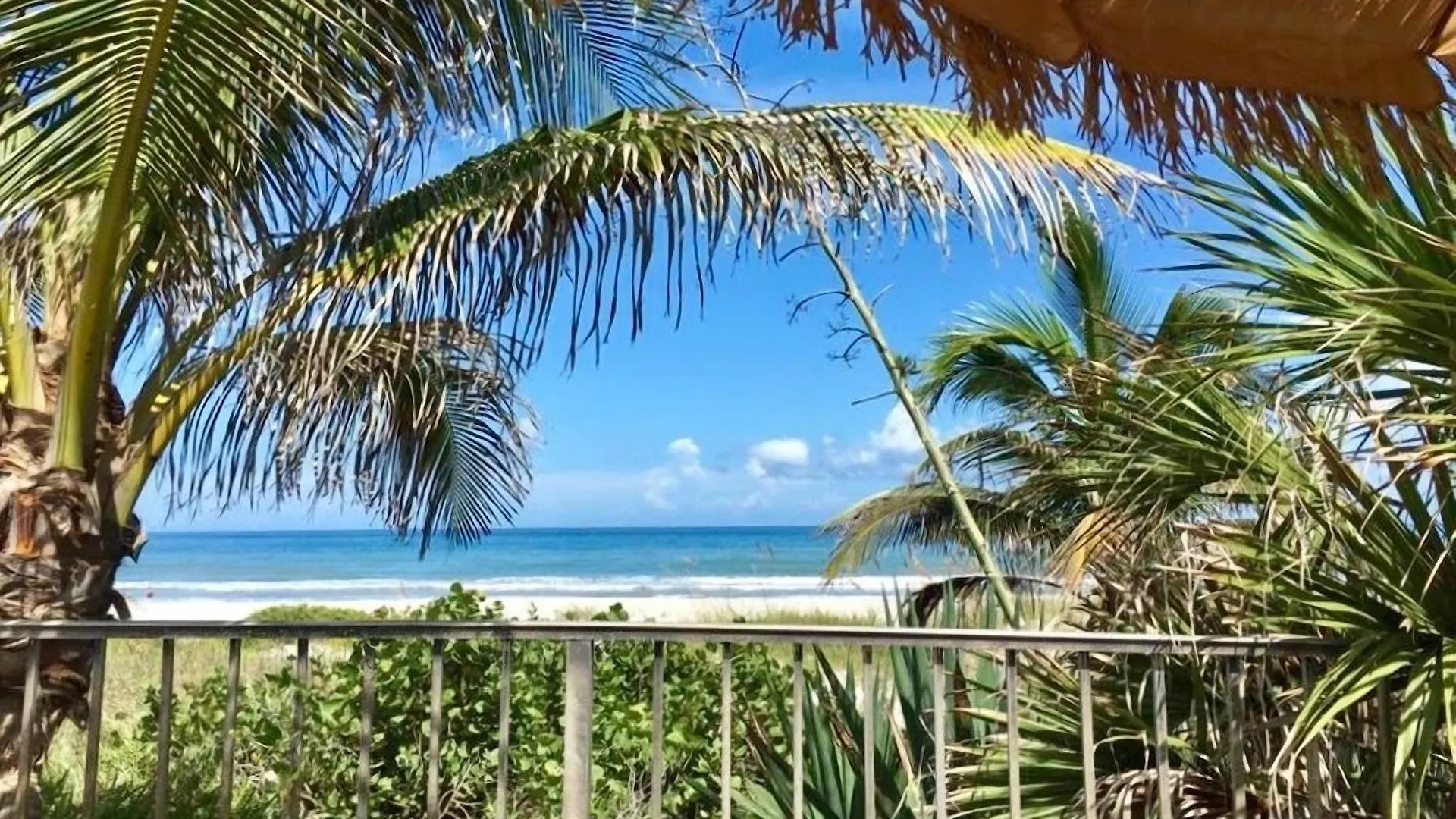 5 Best-Rated Hotels Close to Lori Wilson Park in Cocoa Beach